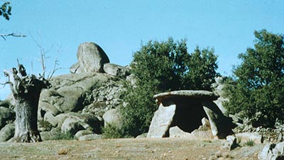 The typical landscapes where seven-stone antas can