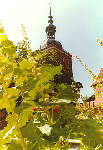 Cathedral Bell Tower (Belfry Radziejowski Tower) w